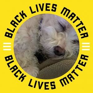 Meet your Posher, Roda